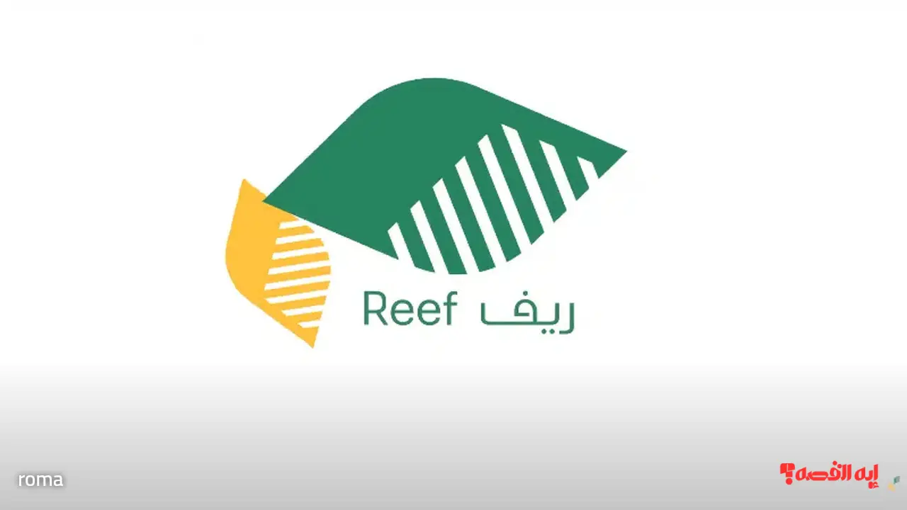 كيفية الاستعلام عن الدعم الريفي 2025 والشروط المطلوبة للحصول على الدعم